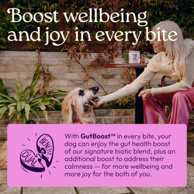 Show full view: WellJoy Chicken Flavored Soft Chew Calming + GutBoost Supplement for Dogs, 11.1-oz jar, 90 count slide 5 of 11