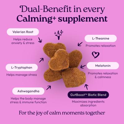 Show full view: WellJoy Chicken Flavored Soft Chew Calming + GutBoost Supplement for Dogs, 11.1-oz jar, 90 count slide 3 of 11