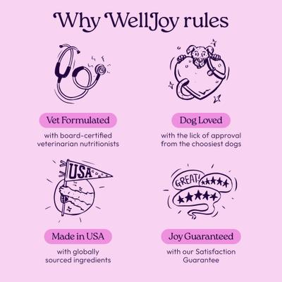 Show full view: WellJoy Chicken Flavored Soft Chew Calming + GutBoost Supplement for Dogs, 11.1-oz jar, 90 count slide 7 of 11