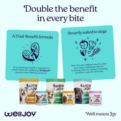 Show full view: WellJoy Joint + GutBoost Chicken Grain-Free Soft & Chewy Dog Treats, 7.4-oz pouch, 30 count slide 10 of 11