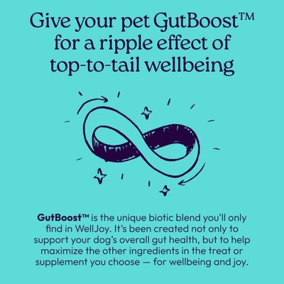 Show full view: WellJoy Joint + GutBoost Chicken Grain-Free Soft & Chewy Dog Treats, 7.4-oz pouch, 30 count slide 9 of 11