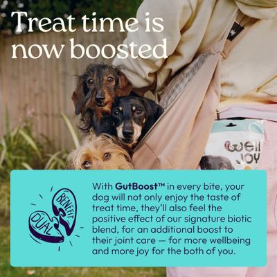 Show full view: WellJoy Joint + GutBoost Chicken Grain-Free Soft & Chewy Dog Treats, 7.4-oz pouch, 30 count slide 5 of 11