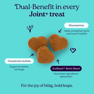 Show full view: WellJoy Joint + GutBoost Chicken Grain-Free Soft & Chewy Dog Treats, 7.4-oz pouch, 30 count slide 3 of 11
