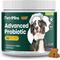 Show in main carousel: PetriMins Advanced Probiotic Bacon Flavor Chew Supplement for Dogs, 90 count slide 1 of 8