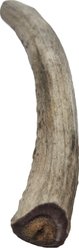 Advance Pet Product Deer Antler Whole Natural Chew Treats, Large