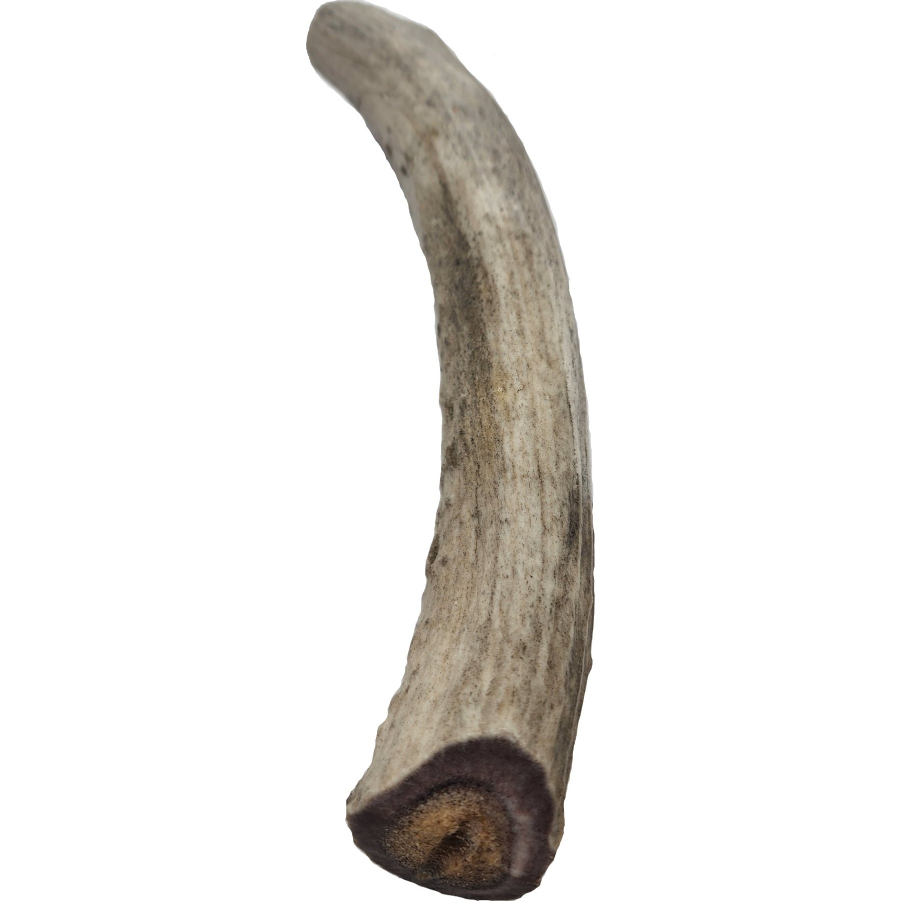 Advance Pet Product Deer Antler Whole Natural Chew Treats, Large