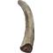 Show in main carousel: Advance Pet Product Deer Antler Whole Natural Chew Treats, Large slide 1 of 2