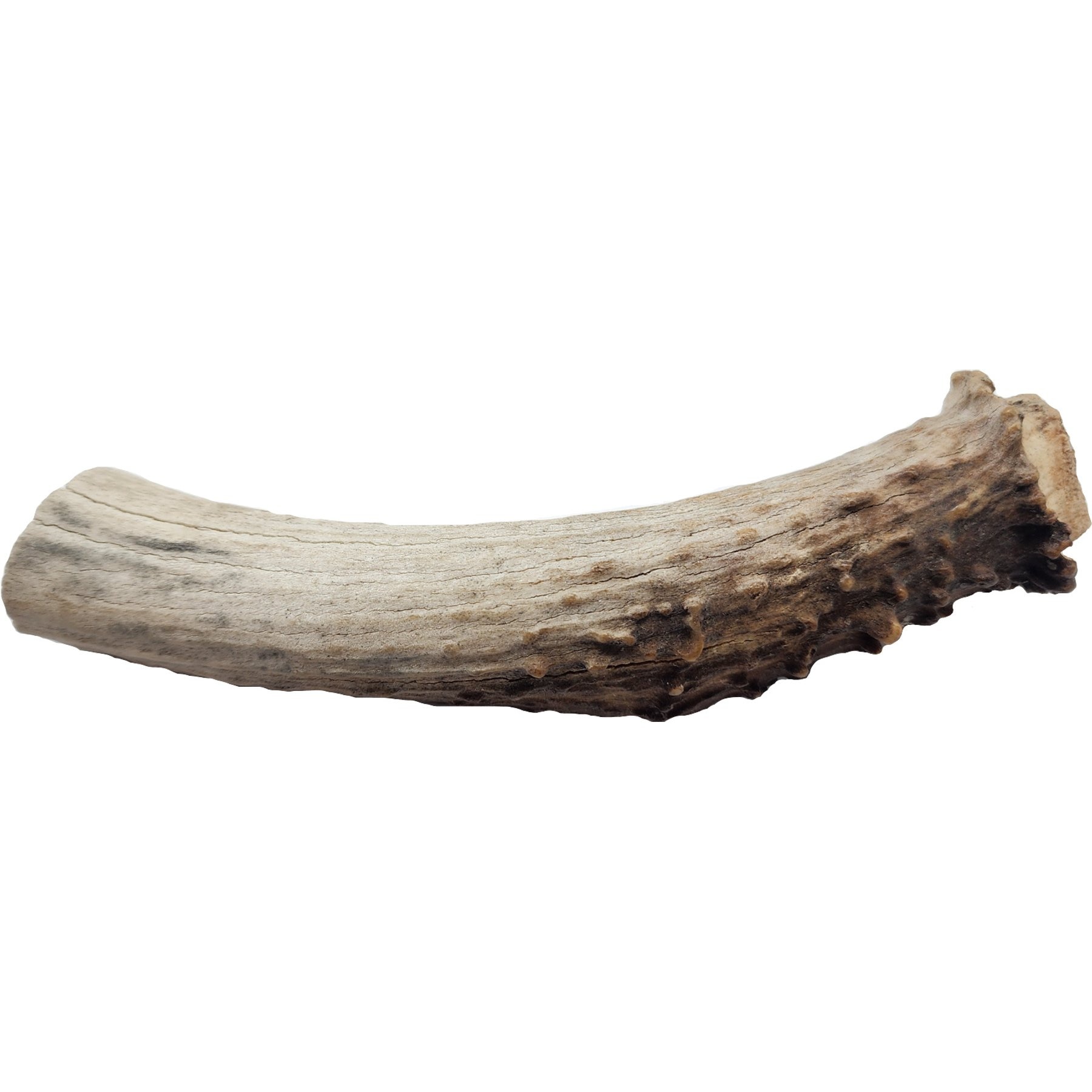 Advance Pet Product Deer Antler Whole Natural Chew Treats, Medium