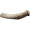 Show in main carousel: Advance Pet Product Deer Antler Whole Natural Chew Treats, Medium slide 1 of 3