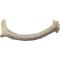 Show in main carousel: Advance Pet Product Deer Antler Whole Natural Chew Treats, Small slide 3 of 3