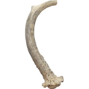 Advance Pet Product Deer Antler Whole Natural Chew Treats, Small