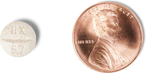 Show full view: Firocoxib (Generic) Chewable Tablets for Horses, 57-mg, 1 tablet slide 3 of 4