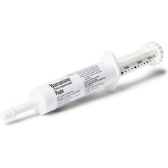 Banamine (flunixin meglumine) Paste for Horses, 30-gm syringe