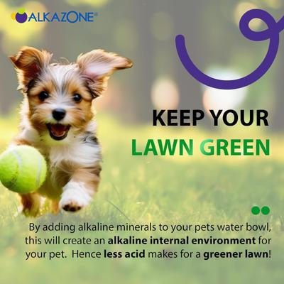 Show full view: Alkazone Alkaline Water Drops Supplement for Dogs & Cats, 1.25-fl oz bottle slide 6 of 8