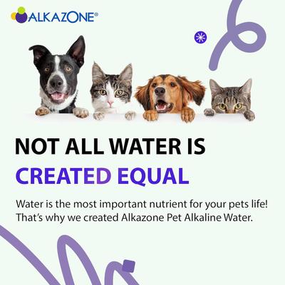 Show full view: Alkazone Alkaline Water Drops Supplement for Dogs & Cats, 1.25-fl oz bottle slide 5 of 8