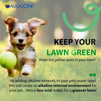 Show full view: Alkazone Alkaline Multi Mineral Drops Supplement for Dogs & Cats, 1.25-fl oz bottle slide 6 of 8