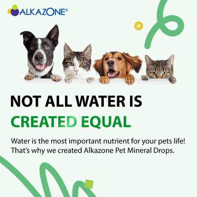 Show full view: Alkazone Alkaline Multi Mineral Drops Supplement for Dogs & Cats, 1.25-fl oz bottle slide 5 of 8