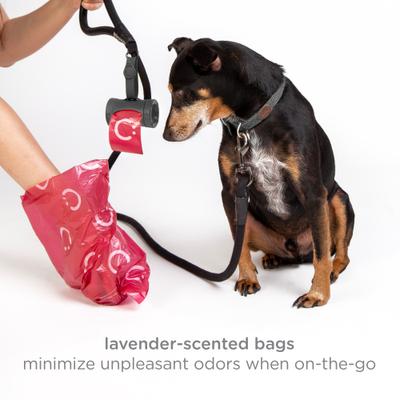 Show full view: Ubbi Retractable Dog Poop Bag Holder & Dispenser, Charcoal slide 5 of 6