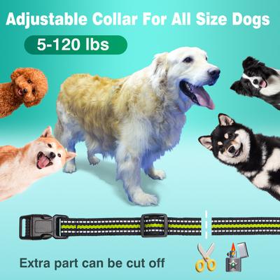 Show full view: PaiPaitek 2 in 1 Waterproof Remote & Automatic Bark Control Dog Training Collar, Green slide 6 of 7