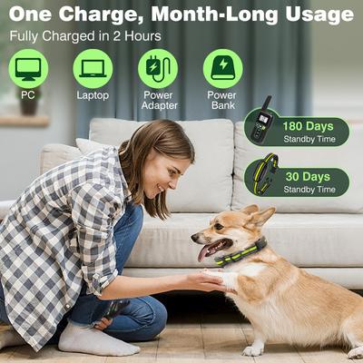 Show full view: PaiPaitek 2 in 1 Waterproof Remote & Automatic Bark Control Dog Training Collar, Green slide 4 of 7