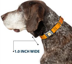 Buckle-Down Paramount Network Yellowstone Y Logo Cowboy Up Dog Collar, Large: 15 to 24-in neck, 1-in wide slide 2 of 8