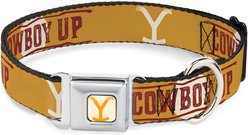 Buckle-Down Paramount Network Yellowstone Y Logo Cowboy Up Dog Collar, Small: 13 to 17-in neck, 1.5-in wide