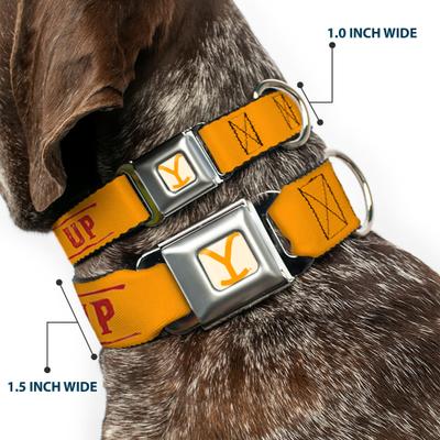 Show full view: Buckle-Down Paramount Network Yellowstone Y Logo Cowboy Up Dog Collar, Small: 9.5 to 13-in neck, 1-in wide slide 2 of 8