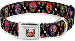 Buckle-Down Thaneeya McArdle Colorful Calaveras Dog Collar, Small: 13 to 17-in neck, 1.5-in wide