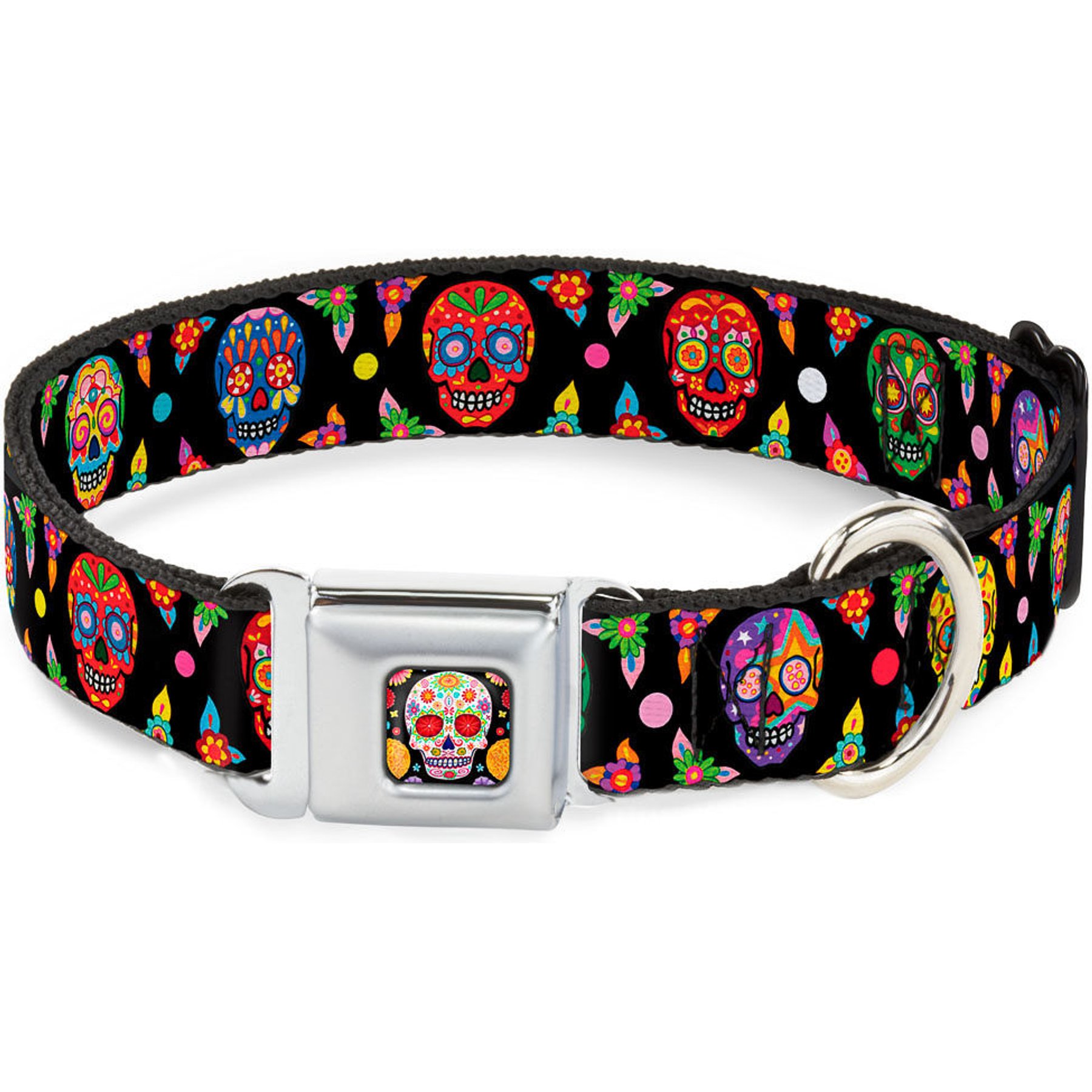Buckle-Down Thaneeya McArdle Colorful Calaveras Dog Collar, Small: 13 to 17-in neck, 1.5-in wide