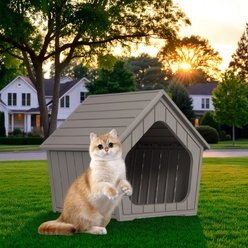 Bencmate Wooden Cozy Sturdy Small Cat House, Brown