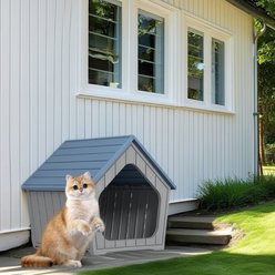 Bencmate Wooden Cozy Sturdy Small Cat House, Blue