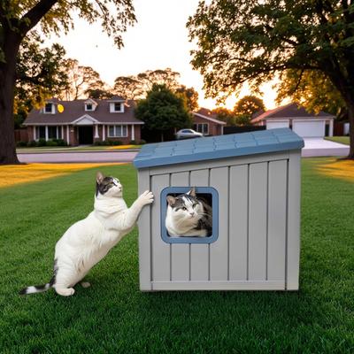 Show full view: Bencmate Slanted Roof Two Entry Doors Indoor & Outdoor Cat House, Blue slide 3 of 5