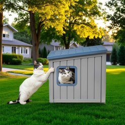 Bencmate Slanted Roof Two Entry Doors Indoor & Outdoor Cat House, Blue