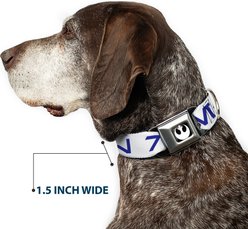 Buckle-Down Star Wars Aurebesh Rebel Dog Collar, Medium: 11 to 16.5-in neck, 1-in wide slide 2 of 8