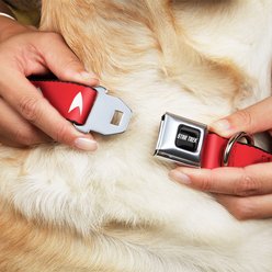 Buckle-Down CBS Studios Inc. Star Trek Starfleet Insignia Dog Collar, Red, Large: 15 to 24-in neck, 1-in wide slide 2 of 8