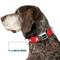 Show in main carousel: Buckle-Down CBS Studios Inc. Star Trek Starfleet Insignia Dog Collar, Red, Large: 20 to 31-in neck, 1.5-in wide slide 8 of 9