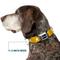 Show in main carousel: Buckle-Down CBS Studios Inc. Star Trek Starfleet Insignia Dog Collar, Yellow, Medium: 16 to 23-in neck, 1.5-in wide slide 7 of 8