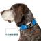 Show in main carousel: Buckle-Down CBS Studios Inc. Star Trek Starfleet Insignia Dog Collar, Blue, Small: 9.5 to 13-in neck, 1-in wide slide 7 of 8