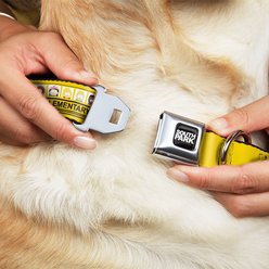 Buckle-Down Comedy Central South Park Elementary School Bus Characters Pose Dog Collar, Large: 15 to 24-in neck, 1-in wide slide 2 of 8