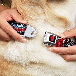 Buckle-Down Marvel Comics Spider Man in Action Dog Collar, Medium: 11 to 16.5-in neck, 1-in wide slide 2 of 8