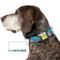 Show in main carousel: Buckle-Down Nickelodeon Spongebob & Friends Logo Dog Collar, Medium: 11 to 16.5-in neck, 1-in wide slide 7 of 8