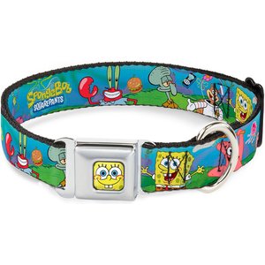 Buckle-Down Nickelodeon Spongebob & Friends Logo Dog Collar, Medium: 11 to 16.5-in neck, 1-in wide