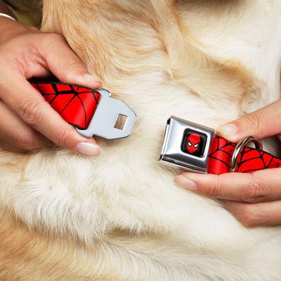 Show full view: Buckle-Down Marvel Comics Spiderweb Dog Collar, Medium: 11 to 16.5-in neck, 1-in wide slide 8 of 8
