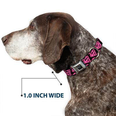 Show full view: Buckle-Down DC Comics Diagonal Superman Logo Dog Collar, Small: 13 to 17-in neck, 1.5-in wide slide 6 of 8