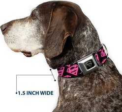 Buckle-Down DC Comics Diagonal Superman Logo Dog Collar, Medium: 16 to 23-in neck, 1.5-in wide slide 2 of 8