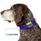 Show in main carousel: Buckle-Down DC Comics Superman Shield Stripe Dog Collar, Large: 20 to 31-in neck, 1.5-in wide slide 7 of 9