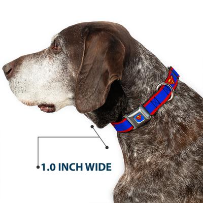 Show full view: Buckle-Down DC Comics Superman Shield Stripe Dog Collar, Large: 20 to 31-in neck, 1.5-in wide slide 6 of 9