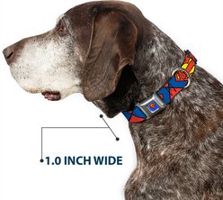 Buckle-Down DC Comics Superman Shield Close Up Dog Collar, Large: 20 to 31-in neck, 1.5-in wide slide 2 of 8