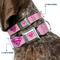Show in main carousel: Buckle-Down DC Comics Superman Shield Dog Collar, Pink, Large: 15 to 24-in neck, 1-in wide slide 2 of 8