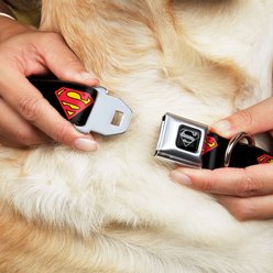 Buckle-Down DC Comics Superman Shield Dog Collar, Black, Large: 20 to 31-in neck, 1.5-in wide slide 2 of 8